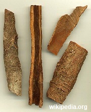 Cassia lignea
