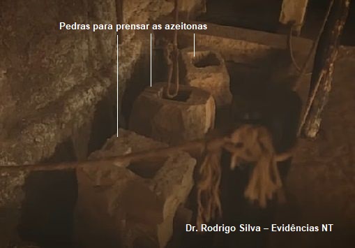 Pedras para prensar azeitonas