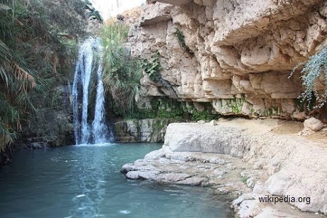 A cascata de Davi em En-Gedi
