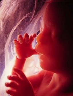 6 meses