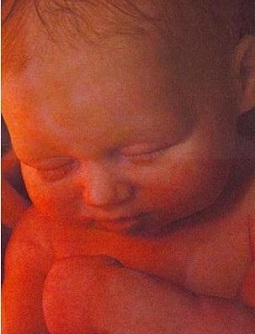 8 meses