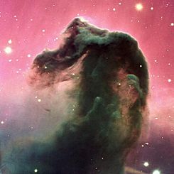 nebulosa-Cabeça de Cavalo