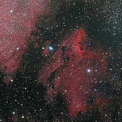 nebulosa-Pelicano