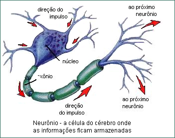 Neurônio