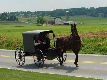 Charrete Amish