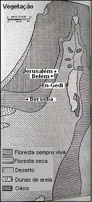 Geografia de Israel