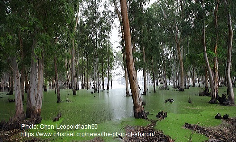 Parque de Sarom Parque de Sarom